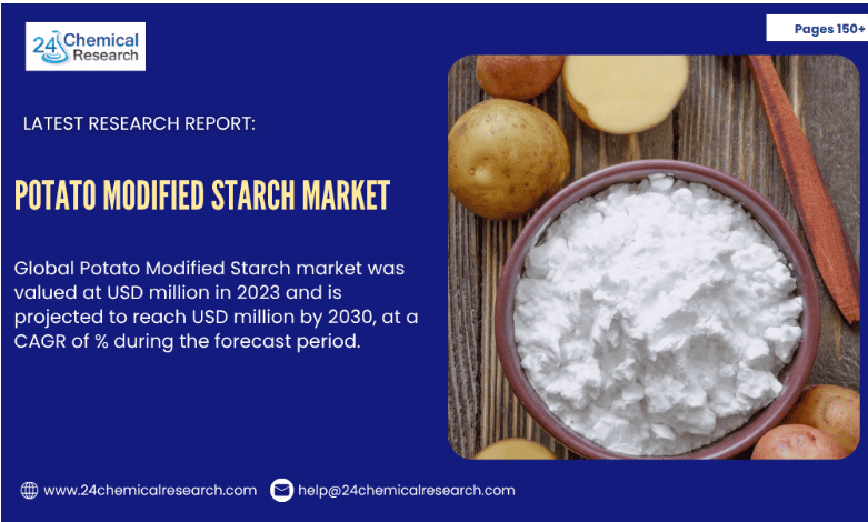 Potato Modified Starch Market 2025–2032: Innovations in Food Processing & Industrial Applications Driving Growth
