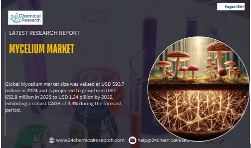 Mycelium Market Global Forecast Report 2025–2032: Segment Insights, Innovation Trends & Leading Players